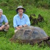 Hangin' With The Tortoises