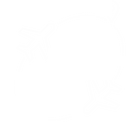 a white graphic of planes traveling
