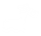 a white graphic of a ship with an LGBT+ flag and a flag with a heart