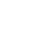5 white stars in a circle